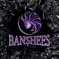 Banshees2025(@arbanshees2025) 's Twitter Profile Photo