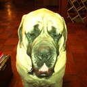 melody link - @hotauntmel - Twitter