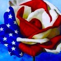 GrannyLovesAmerica(@PurgeRebel) 's Twitter Profile Photo