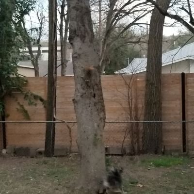 StankieMuniz's profile picture. OOPS i forgot