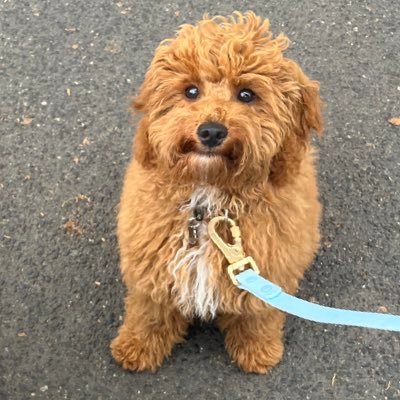 young entrepreneur / semi-famous life coach / work with me!