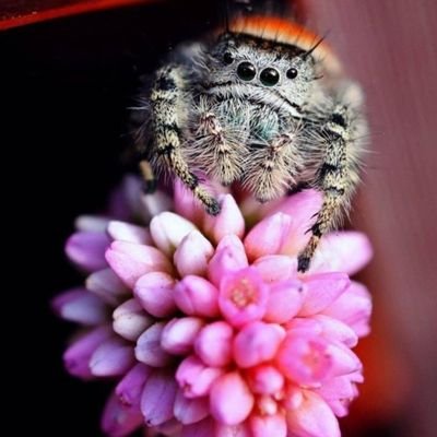 perfunctory alt account. biophysics, ethics, shitposts etc