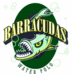 Barracudas WaterPolo (@barraswaterpolo) Twitter profile photo