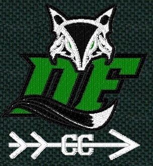 Dutch Fork Runners Profile