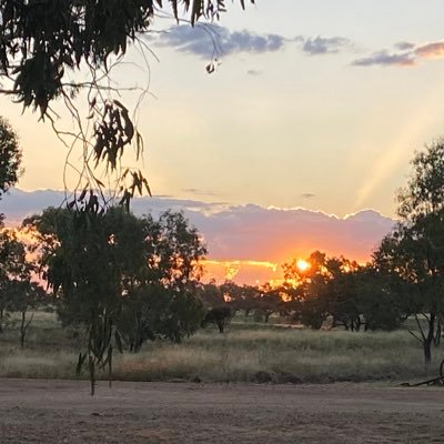 Aboriginal and Torres Strait Islander researchers and allies; high impact research making real change; co-design methods and the Rambaldini Model; MQ