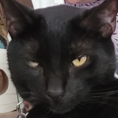 LAUREN 👀さんのプロフィール画像