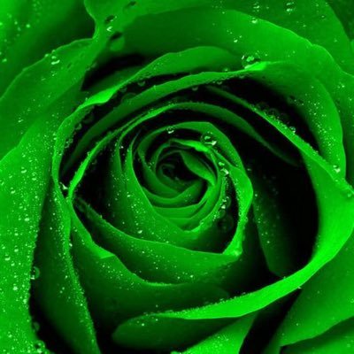 usecaution1's profile picture. KNOW Your Truth-Unique Goodness- Certified Attention Seeker 👩🏽‍❤️‍👨🏾👩🏽‍❤️‍💋‍👩🏼☘️🌈🔥🧘🏾‍♀️♠️