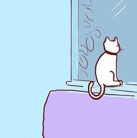 pirateazores's profile picture. 