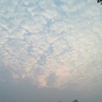 刷流氓的绅士 (@a_zhtian) 's Twitter Profile