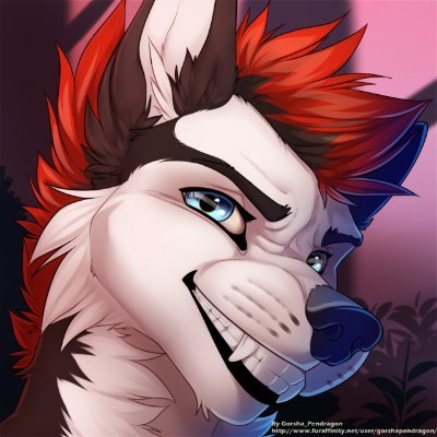 Vinni_the_Husky's profile picture. 35yo Husky