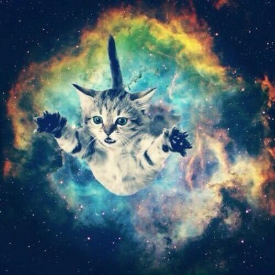 A cat. In space. Playing games. Mostly Destiny 2 and helping anyone with pretty much anything.