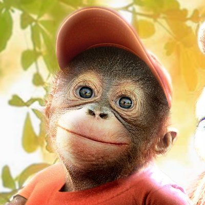 jtchanga aka diddy kong in real life aka iloveburgerking aka Mister Doctor Professor Patrick aka George Armstrong aka I Love My House