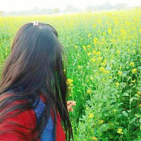 Anandi❤️ (@anandi33763276) 's Twitter Profile Photo Anandi❤️ (@anandi33763276) 's Twitter Profile Photo