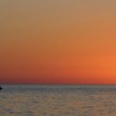 LeeSearch Directory - @LeeSearchFl - Twitter