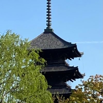 MyPharmProject's profile picture. 