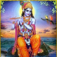 Nishita Bhosale (@nishita_bhosale) 's Twitter Profile Photo Nishita Bhosale (@nishita_bhosale) 's Twitter Profile Photo
