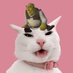 thekhaleesicat (@thekhaleesicat) Twitter profile photo thekhaleesicat (@thekhaleesicat) Twitter profile photo