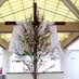 Holy Angels Church, Arcadia (@holyangelsch) Twitter profile photo Holy Angels Church, Arcadia (@holyangelsch) Twitter profile photo