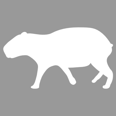 SnabbmatHstd's profile picture. 