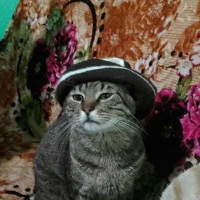 katia192690's profile picture. Deus