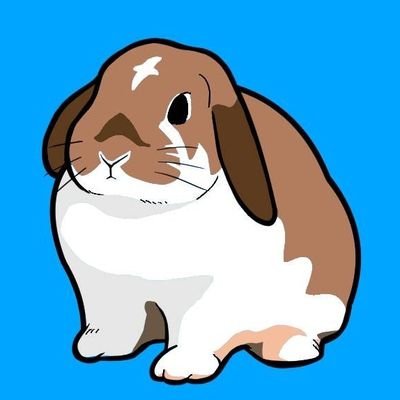 🌈ホーランドロップこむぎ🐰♀️2020.7.9~20256.22 ネザーランドドワーフ つむぎ🐰♀️2025.6.16🐰好きさんと繋がりたいです!
#バニーズエンターテインメント所属🐰✨