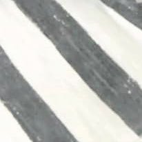 anaruninakadasu's profile picture. む