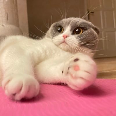 WhoAreYuさんのプロフィール画像