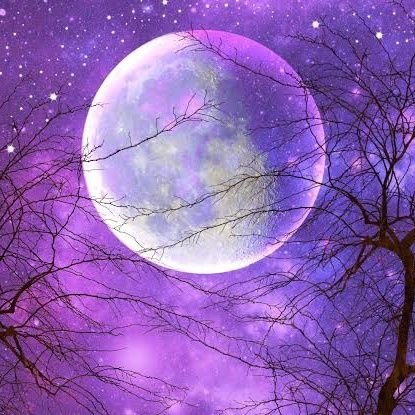 Moonchild.
With freedom, books, flowers, and the Moon, who could not be happy?
https://t.co/thDpJApFlo
https://t.co/n9hpHxd1M7