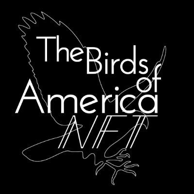 The limited NFT collection of John James Audubon's famous 435-piece ornothological publishings. Coming to the Ethereum blockchain in May 2022 #birdsofamericanft