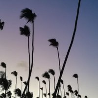 Martinsight (@m_navarrolopez) 's Twitter Profile