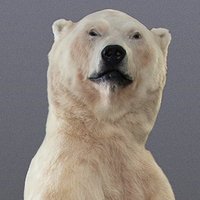 Allgemeine und Spezielle Zoologie - Uni Rostock (@zoologyrostock) 's Twitter Profile
