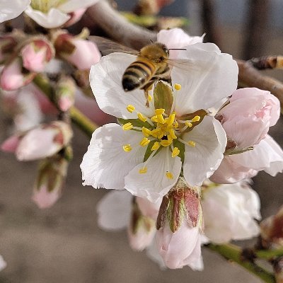 ztaheri's profile picture. هم تورکم هم ایرانلی یام.
Hem Türküm, hem İranlıyım. Milyonlarca diğerleri gibi.