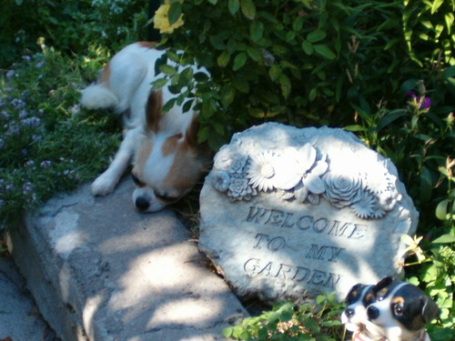 Chiguy4real's profile picture. 