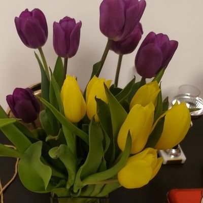 StBrette's profile picture. Tweets n'engagent que moi.