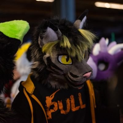 Khatto 🐱||
Enthousiast of motorcycles🏍️
I am a gamer aswell. 🎮
Im a shoot instructor in my free time 🔫