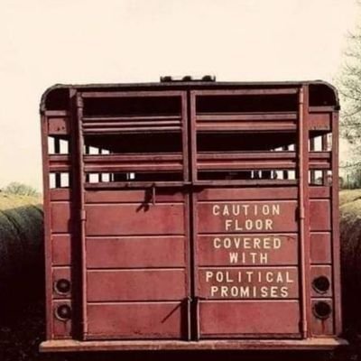 RileyBoss9's profile picture. living in Latji Latji country on the edge of a big river.