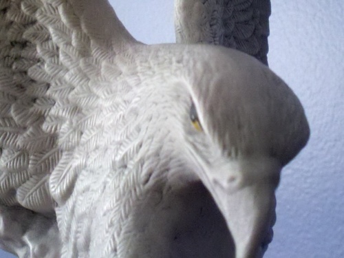 PI_Today's profile picture. A source for PI related news, information, and tips. PI hopeful and Penn-Foster PI program grad.