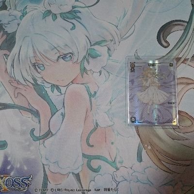 岬杯運営さんのプロフィール画像