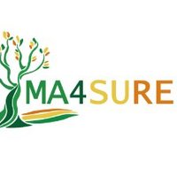 MA4SURE (@ma4sure_prima) 's Twitter Profile Photo MA4SURE (@ma4sure_prima) 's Twitter Profile Photo