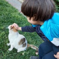 Damla (@damla082017) 's Twitter Profile