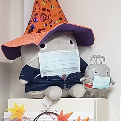 SFmI7G1q1Dg6yfU's profile picture. 