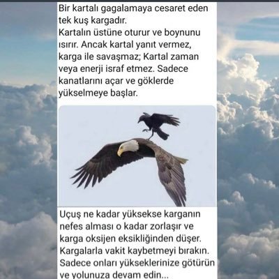 yasar_905's profile picture. 