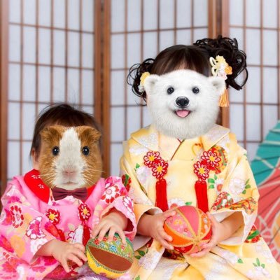 転勤族の専業主婦/2022.6ブログ開始/ブログしている方と繋がりたい✏️/転妻さんと繋がりたい/かなりの機械音痴がとりあえず一年ブログを頑張って収益化を目指す💪/リプしあったりプライベートでも仲良くできる仲間募集中❣️/リプ・DM大歓迎ですが勧誘は🙅♀️無言フォロー失礼します🙏