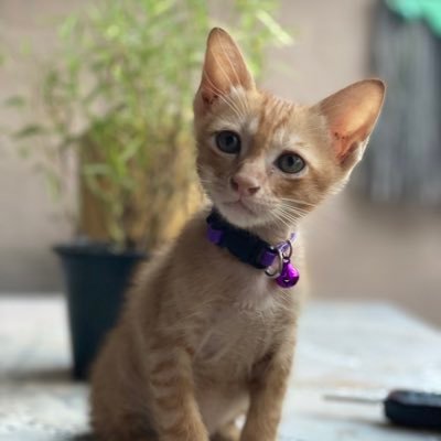 Narumon_boom's profile picture. ติดละคร ติดซีรีย์