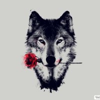 Emrah Alabaz (@emrah_alabaz) 's Twitter Profile
