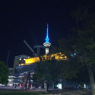 cvliphate's profile picture. Managing director @caliphate