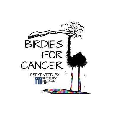 Help the two local hospitals in Broome County provide assistance for anyone impacted by cancer. 100% of money raised+ a 10% match on each dollar goes to charity