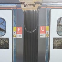Muxtaro (@muxtaro0) 's Twitter Profile