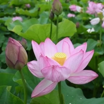 yui_yui02329's profile picture. 