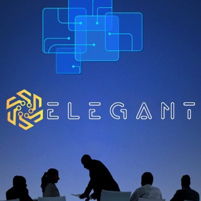 ELEGANTCYBERSOL's profile picture. cyber security
